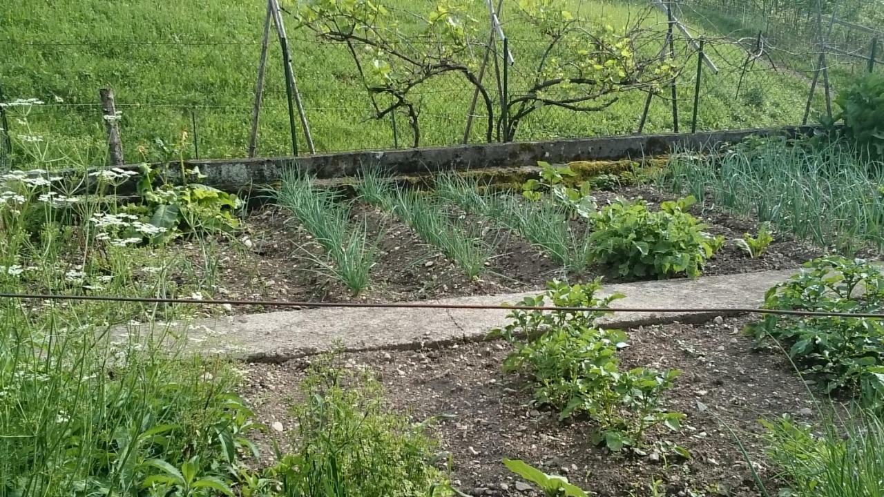 アレックス Ferme Familiale Chez Liliヴィラ エクステリア 写真