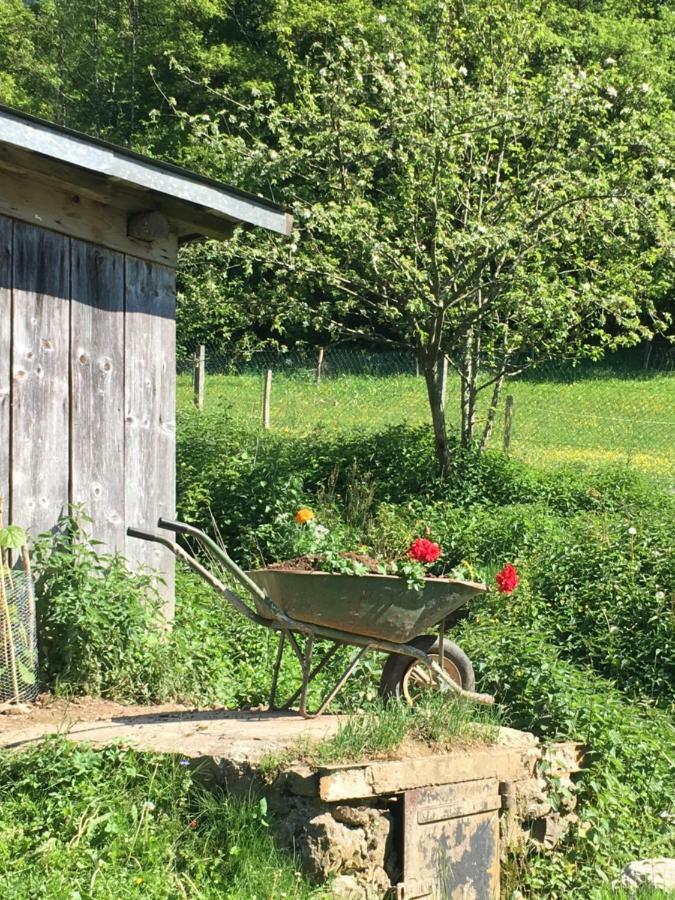 アレックス Ferme Familiale Chez Liliヴィラ エクステリア 写真